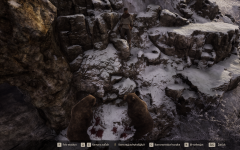 Screenshot (444).png