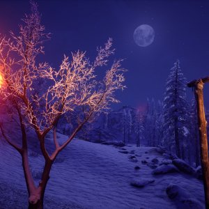 einfach nur wunderschön, Winternacht in den Bergen